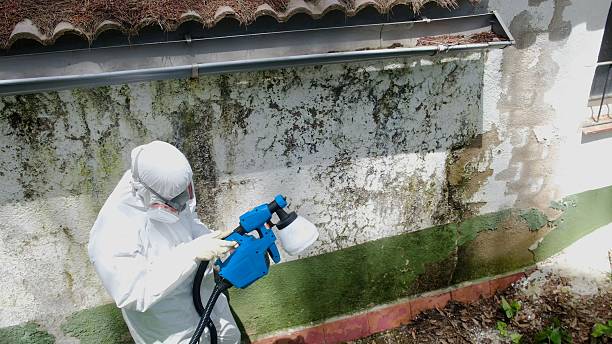 Trusted Crawl Space Mold Removal service in Gwynedd, PA - Cheap Mold Removal